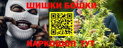 прущие грибы Пыть-Ях
