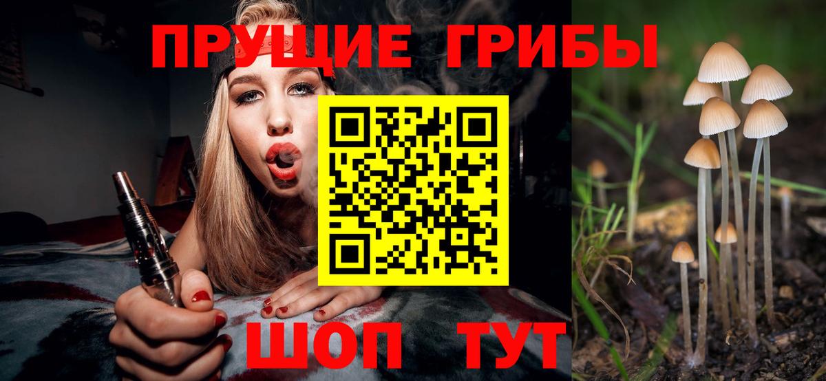 Семёнов  Галлюциногенные грибы Psilocybine cubensis  Галлюциногенные грибы MAGIC MUSHROOMS  Вход с VPN 